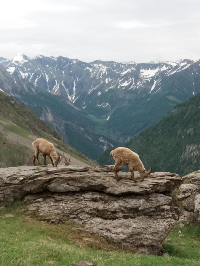 Vacances A La Montagne Saint-Julien-en-Champsaur Екстер'єр фото