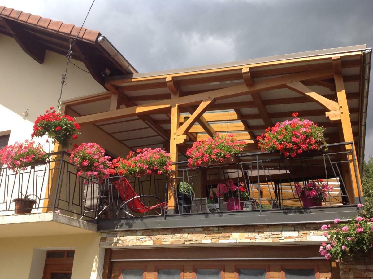 Vacances A La Montagne Saint-Julien-en-Champsaur Екстер'єр фото